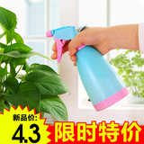 园艺浇花小喷壶多肉植物浇水 喷水壶家用手压式 喷雾瓶塑料洒水壶