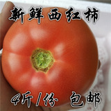 新鲜农家西红柿/沙瓤/老品种番茄/甜洋柿子/有机蔬菜农产品/包邮