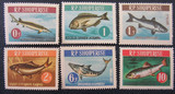 阿尔巴尼亚邮票1964年鱼类 6全 原胶无贴 目录11.7美元