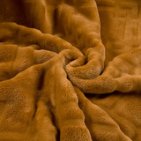 金貂绒纯色毛毯床单冬季双人加厚学生宿舍单人单件珊瑚绒薄空调毯