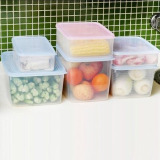 日本进口 密封保鲜盒 冰箱冷冻收纳盒 饺子盒 带盖食品储物置物盒