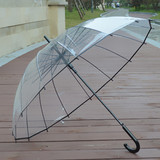 16骨加厚透明雨伞长柄伞小清新日本韩国创意自动男女晴雨伞包邮