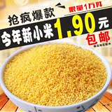 沂蒙山 黄小米2015新米 小黄米 月子米 有机农家杂粮小米粥250g