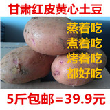 红皮黄心土豆新鲜有机非转基因农家现挖自制原生态甘肃马铃薯洋芋