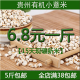 贵州小薏米仁优质新货薏米薏苡仁 药用有机小薏米杂粮500g5件包邮