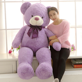 正版毛绒玩具熊泰迪熊公仔抱抱熊熊熊生日大抱熊薰衣草小熊紫色熊