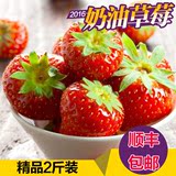 新鲜草莓有机奶油草莓现摘现发2斤3盒装超值孕妇水果新鲜水果包邮