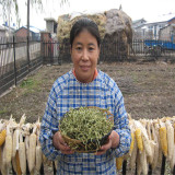 东北黑龙江特产农家晾晒干货油豆角丝 有机非转基因 250克 半斤