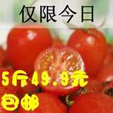 新鲜水果 海南特产 千禧圣女果 小番茄 小西红柿 柿子枣 5斤包邮