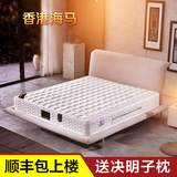 香港海马床垫  1.5m1.8米 软硬两用独立弹簧椰棕乳胶 席梦思床垫
