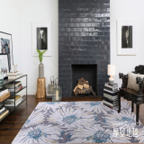 摩登地毯 土耳其进口现代简约 家用客厅卧室时尚沙发茶几彩色地毯