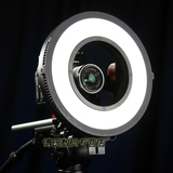 利帅LED外拍灯318RL摄像摄影补光灯新闻婚庆环形眼神灯套装送包