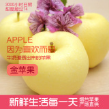 烟台金苹果金富士 奶油苹果富士 冰糖心苹果水果 产地直供 家庭装