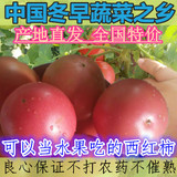6斤包邮 云南新鲜西红柿 有机番茄 无公害绿色蔬菜 生鲜农家500g