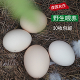 江西土鸡蛋农家散养自养新鲜纯天然正宗草鸡蛋有机笨鸡蛋30枚包邮