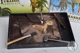 【银古家】台湾进口创意侏罗纪考古巧克力恐龙化石巧克力生日礼物