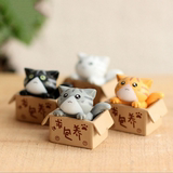 喵星人微景观桌面装饰摆件 创意可爱猫咪工艺品 求包养盒子起司猫