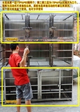 304不锈钢狗笼定做 不锈钢寄养笼 不锈钢猫笼 宠物医院寄养笼