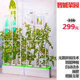 家庭阳台新鲜农家时令特色无公害绿色有机蔬菜水果青菜种植箱盆架