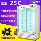 加承冷冻展示柜 商用立式陈列柜 冰淇淋展示柜 风冷冰箱雪糕冷柜