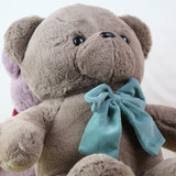 韩国正品可爱毛绒公仔泰迪熊玩具女生生日礼物大号布娃娃小抱抱熊