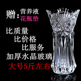 富贵竹花瓶批发水晶玻璃创意透明水培大号百合玫瑰花瓶摆件包邮