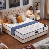 天然椰棕透气床垫 双人舒适席梦思/1.5/1.8米海绵床垫 正反两用