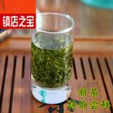 2016春茶茶叶日照绿茶新茶雪青一级高山有机豆香70半斤