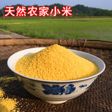 新货农家自产小黄米 新米 月子米 小米天然黄小米五谷杂粮粥500g