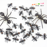 仿真大小蚂蚁模型塑胶仿真动物儿童玩具昆虫多足大头蚂蚁影视道具