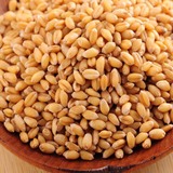 仓鼠粮自配营养粮必备优质小麦粒 宠物粮鸟食麦子250g五斤包邮