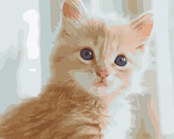 diy数字油画家居客厅装饰画儿童动物卡通动漫大幅手绘特价猫咪