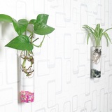 创意玻璃壁挂欧式水培花瓶 悬挂富贵竹透明花瓶家居客厅装饰花器