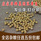 5斤包邮 黑龙江非转基因大豆农家自种优质笨黄豆 豆浆豆芽专用豆