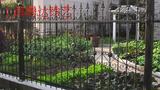 上海铁艺围栏别墅围栏围墙栏杆铁艺栅栏花园栏杆玛钢护栏铁艺围栏