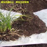兰花专用营养土  有机花卉土天然腐殖土君子兰花土壤 腐叶土
