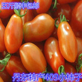 5斤顺丰包邮东港刘家特产新鲜水果 409小柿子 圣女果  小番茄