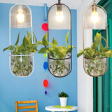 植物吊灯创意个性北欧美式田园餐厅吧台阳台灯LED玻璃灯具