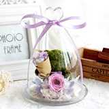 母亲节情人节礼物玫瑰永生花礼盒苔藓小熊创意礼品玻璃罩南京鲜花