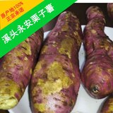 溪头番薯特产栗子薯农家自制特产新鲜红薯五斤装包邮特价红薯