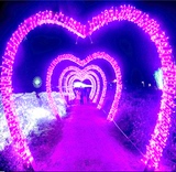 婚庆100米LED小彩灯闪灯串灯串 户外防水装饰灯满天星霓虹圣诞灯