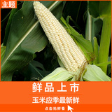 广西农家自种非转基因粘玉米棒 甜糯玉米 新鲜 蔬菜带叶真空现摘