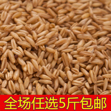 农家生燕麦米燕麦仁片裸燕麦全胚芽米五谷杂粮土特产500g 特价