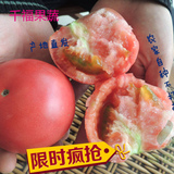 寿光新鲜有机蔬菜农家自种新鲜蔬菜500g西红柿番茄洋柿子5斤包邮