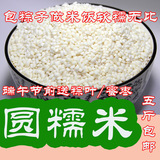 农家 有圆糯米白糯米、散装 粗粮五斤包邮新米粽子米可酿米酒