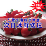【次日冰鲜送达】圣女果现摘新鲜应季水果千禧 西餐小番茄西红柿