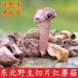 东北野生红蘑菇野生松蘑松树伞菌干货东北特产250g包邮小鸡炖蘑菇