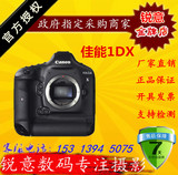 Canon/佳能 EOS 1Dx 专业数码单反相机 1dx 全画幅 现货国行 5D3