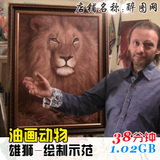 C14.油画动物雄狮绘制过程 绘画视频教程 写实示范