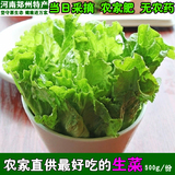 河南郑州农家无公害新鲜生菜农家有机肥青菜西餐沙拉蔬菜现摘现发